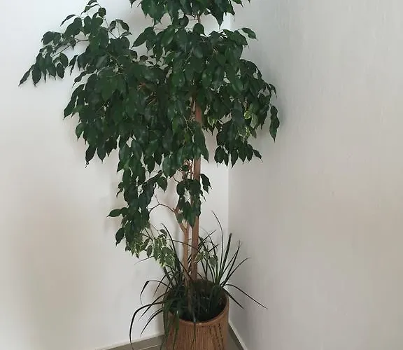 Gasthof Complex Laguna-kantardzhiev Primorsko